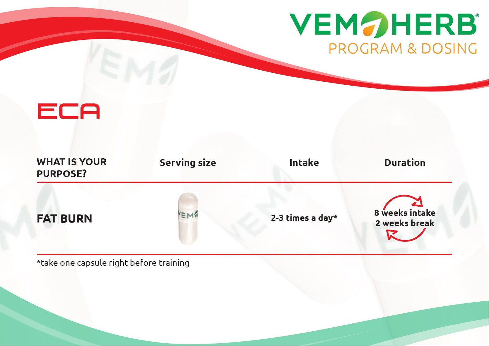 ECA | Fat Burner | 90 Capsules - Image 4
