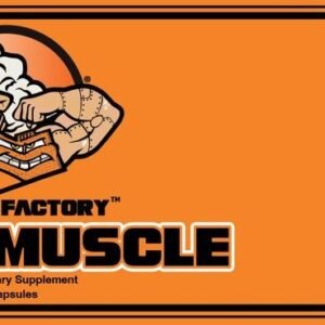 Alternative view of Curcumuscle 2.0  | Ultra Bioavailable Curcumin (3 bottles)