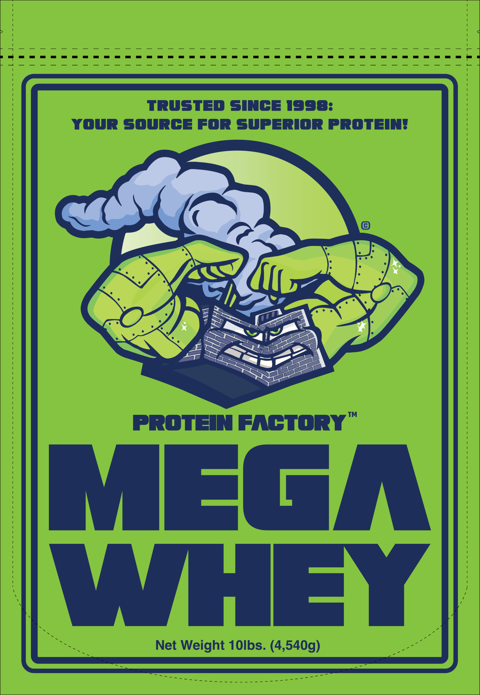 MEGA WHEY PROTEIN — Pure Muscle-Building Power – 10 lbs - Image 4
