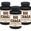 Big Chaga (3 Month Supply) Mushroom Supplement