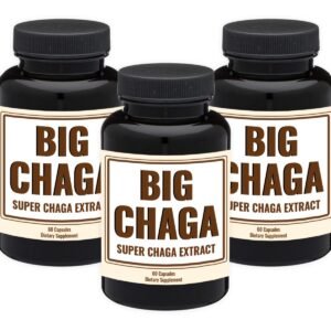 Big Chaga (3 Month Supply) Mushroom Supplement