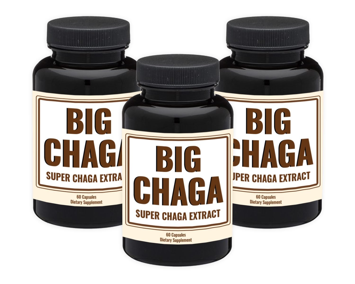 Big Chaga (3 Month Supply) Mushroom Supplement